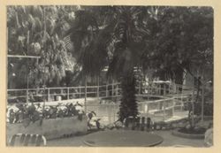 Patio view in Port-au-Prince