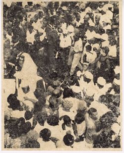 Guests at wedding