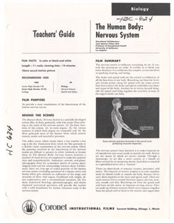 The Human Body: Nervous System