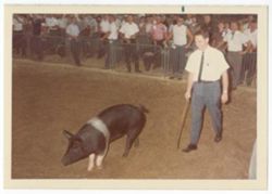 Indiana State Fair