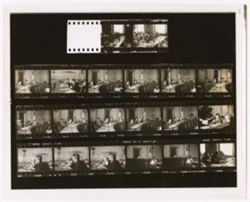 Hearing on Decriminalization of Marijuana (contact sheet)