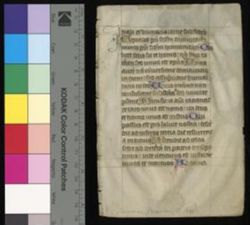 Psalter, with canticles [Fragment]