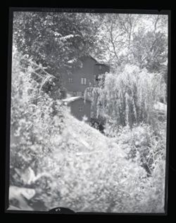 Tratebas Mill, Valparaiso 1960