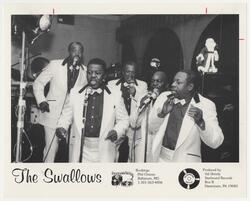 The Swallows