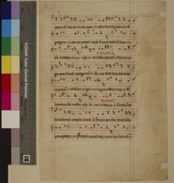 Antiphonal [Fragment]