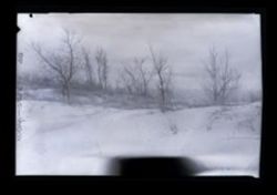 Indiana Dunes 1959
