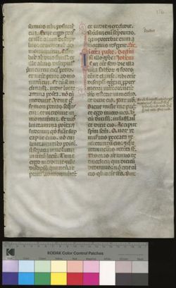 Evangeliary [Fragment]