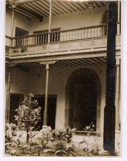 An interior courtyard with a small garden