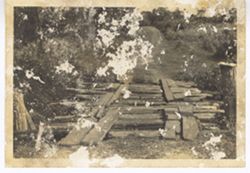 Wood planked bridge along dirt road
