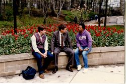 1986 Campaign