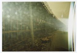 Chinese construction project