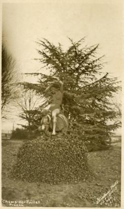 Statue in the park at Base Hospital 13