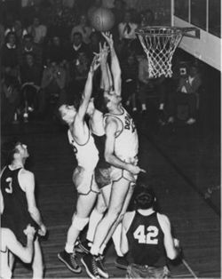 Basketball