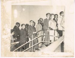 Group in formal wear walk up stairs together