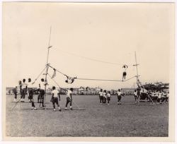 Young men exercise on a ropes course