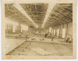 Inside of transit shed - view from south of column 9