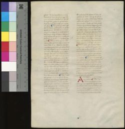 Aquinas, Commentary on the Sentences [Fragment]