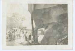 Group gathers around camels and jeeps