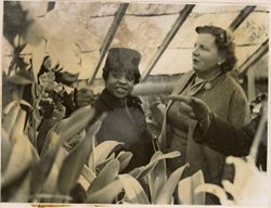 Mrs. Tubman, the Queen and Mrs. Tolbert looking at orchids