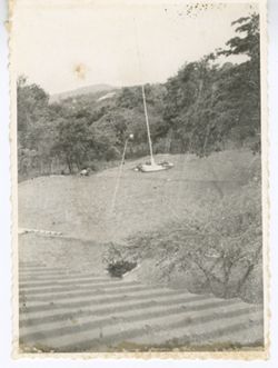 Exterior shot of greenery and flag pole