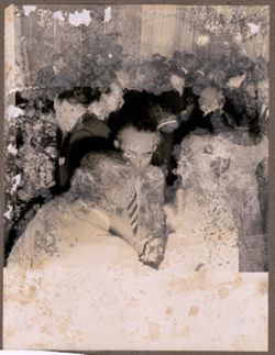 Guests at a party
