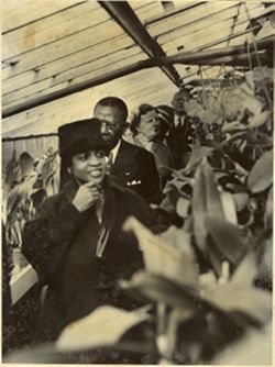 Mrs. Tubman inspects flowers
