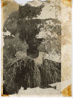 A female farmer harvesting rice