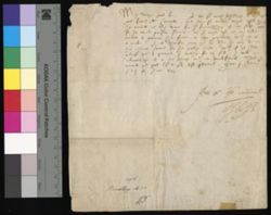 Letter of Robert Devereaux, Earl of Essex