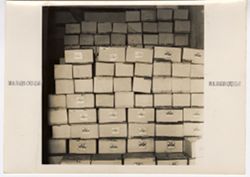 Boxes stored in warehouse