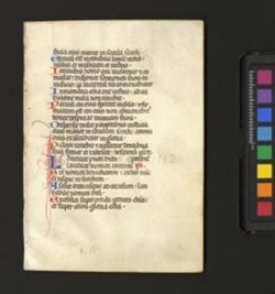 Psalter [Fragment]