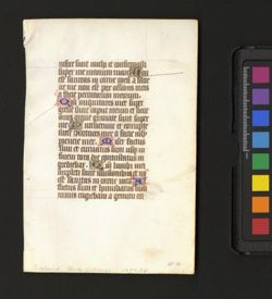 Book of Hours [Fragment]