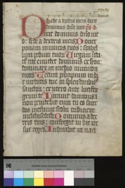 Psalter [Fragment]