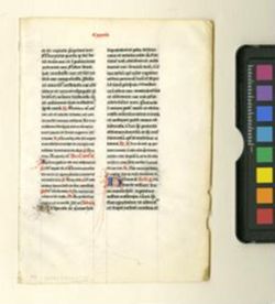 Breviary [Fragment]