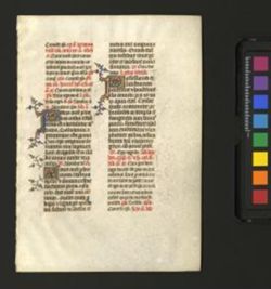 Breviary [Fragment]