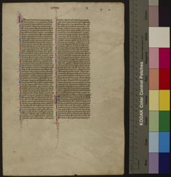 Bible, Samuel [Fragment]