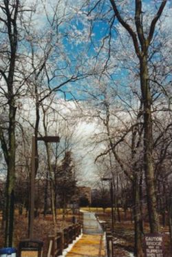 Seasonal View of Campus