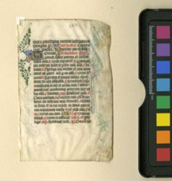 Breviary [Fragment]