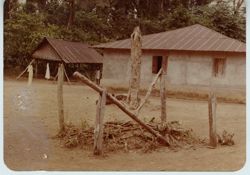 Woodpile in Bolabahn village