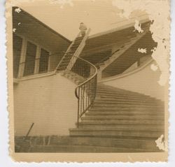 Staircase leading to entrance of building