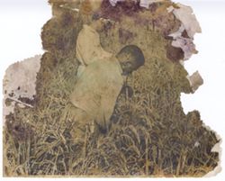 Men work in crops