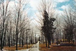 Seasonal View of Campus