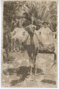 Two women sit a top a camel on a chair structure in front of palms