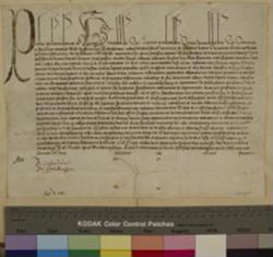 Papal Bull, Pope Paul IV