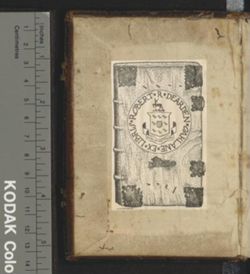 xau_008_001-00002.ptif
