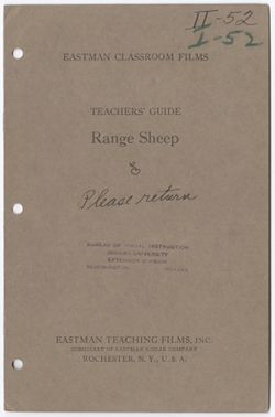 Range Sheep