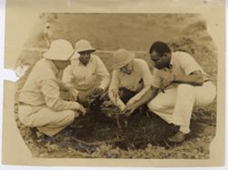Four men around a newly planted tree