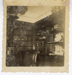 Trophy lined shelves and  leather chair