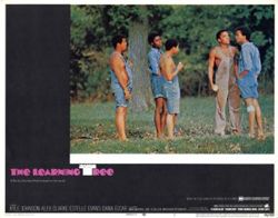 The Learning Tree lobby card