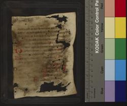 Psalter [Fragment]
