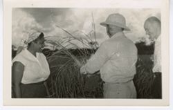 Mrs. Antoinette Tubman examines the crops up close